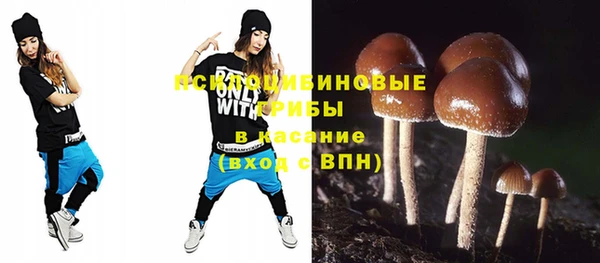 индика Баксан