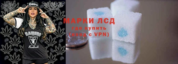 индика Баксан