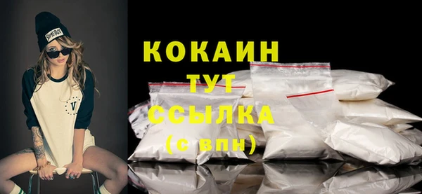 индика Баксан