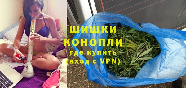 индика Баксан