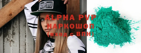индика Баксан